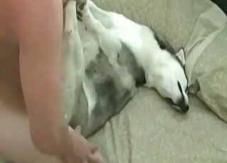Submissive dog enjoys deep penetration of a man’s dick in a hot scene