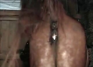 Perverted zoophile guy toys a horse’s hole and fucks it mercilessly