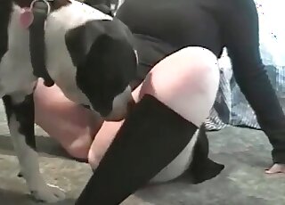 Lonely mature bitch shows big ass to her dog and teases its cock