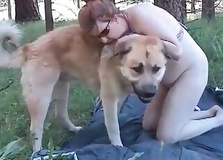 Sex craving mature slut is eager to tempt her dog and to get banged