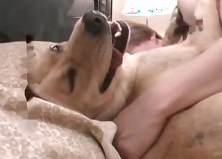 Crazy guy makes his dog enjoy his dick and fucks the animal insanely