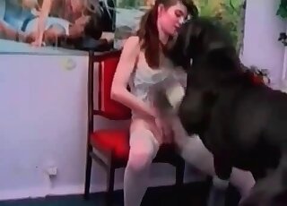 Teen skinny sex doll gets her tight pussy crushed up by a dog’s dick