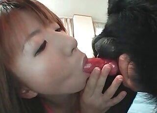 Asian zoophile chick deepthroats pink cock of her dog in a zoo scene