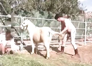 Naked couple tease a pony in a hot threesome zoo porn scene