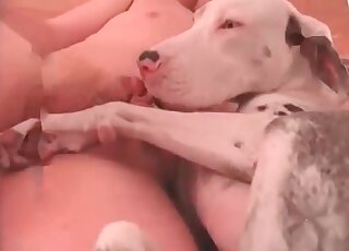 Fat guy involves his dog into a hardcore bestiality sex action