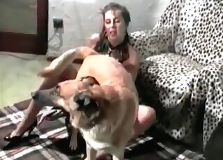 Bestiality sex obsessed mature teaches her dog to go for her cunt