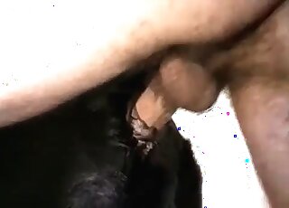 Dude with a huge hairy cock fucks a canine and gets orgasmic pleasure
