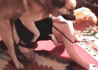 Aged slut with a shaved pussy gets pleasure of fucking with a canine