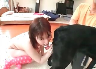 Asian bitches use their twirling tongues to lick cocks of canines