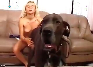 Tight blonde enjoys intense copulation with a huge black dog
