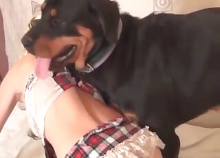 Glamorous MILF in a mask shows her dog how to suck her pussy