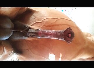 Pervert makes a homemade video of a stallion’s long pecker