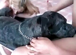 Two whores get ready to suck black dog's hard pecker with joy