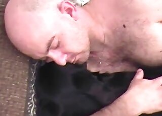Naked zoophile makes his black dog endure fingering and fucking