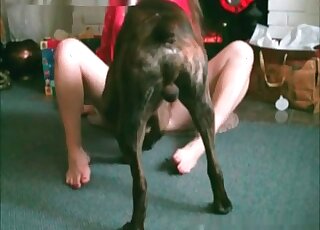 Wife teaches her dog lick her pussy in a homemade zoo sex video