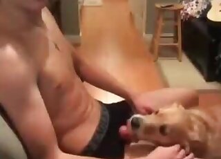 Animal sex lover gives his cock to his dog to lick and to enjoy