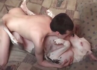 Dog didn’t expect a crazy pervert drill its tight pussy like insane