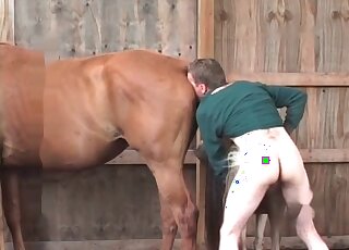 Wicked guy gives a deep fuck to a pony and enjoys the weird action
