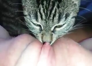 Dirty-minded slut gives her needy pussy to her cat to give a lick