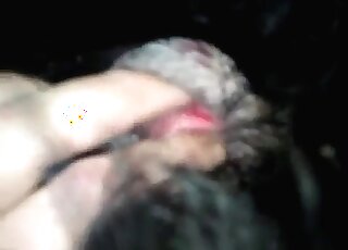 Zoophile finger fucks and fists his dog in a closeup zoo porn video