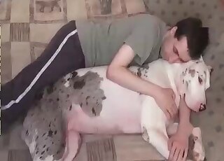 Animal sex addicted guy teases pussy of his female dog in all ways
