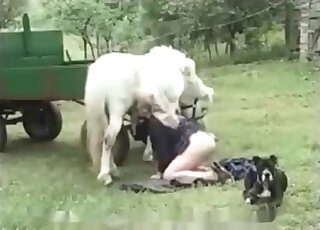 Mature sucks a stallion in a fucking hot zoo porn blowjob session