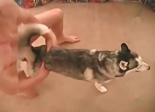 Zoophile smashes pussy of his female dog and enjoys it immensely