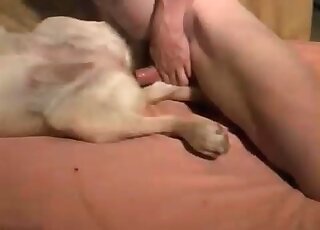 Dude takes his dog in bed to fuck her in a hot zoo porn video