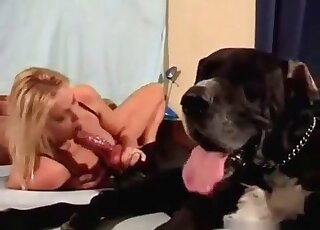Amazing MILF stretches her pink pussy for her big canine’s pecker