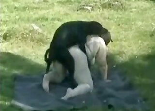 Black dog fucks a BBW zoophile momma in an outdoor sex tape video