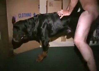 Dude with a hairy ass fucks black dog in a doggystyle zoo video