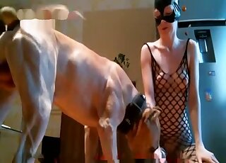 Mesh bodysuit zoophile letting that dog sniff that asshole in zoo XXX