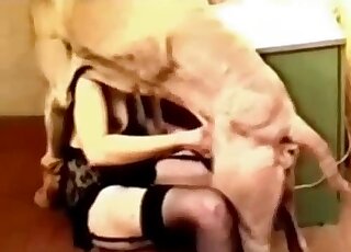 Stockings-wearing blonde fucks a brown dog with lots of oral sex