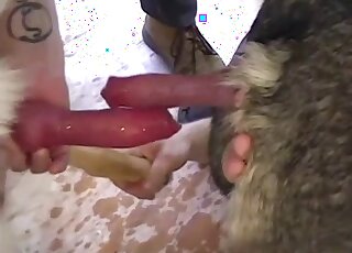 Handjob featured in a zoophile video with frottage and beyond