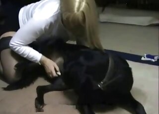 Black stockings blonde deepthroating a black dog's cock in zoo XXX
