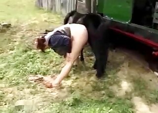 Outdoor pony blowjob from a chubby zoophile that wants hot dicks