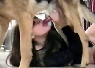 Brunette dressed in black happily puts dog cock in her mouth