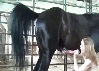 Skinny blonde with a pale body fucks a black stallion at the farm