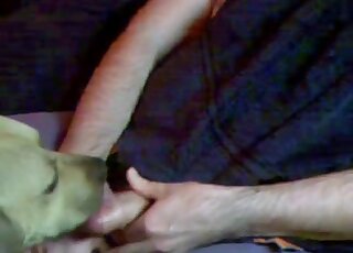 Uncut webcam dude feeding his meaty cock to his kinky animal
