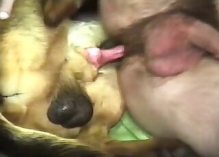 Zoophilic guy with sexy pubes enjoys sideways fucking with a dog