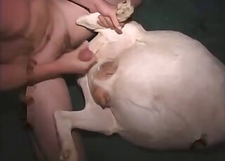Farmer with sexy tattoos fucks a white dog in missionary brutally