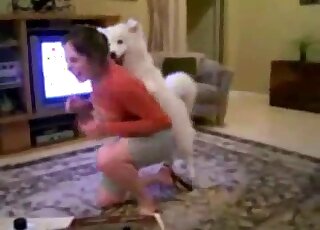 Zoophilic hottie in red tries her best to seduce this white doggo