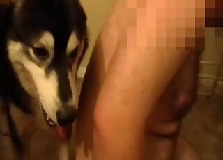 Zoophilic people enjoying hardcore fisting in a dog porn movie here