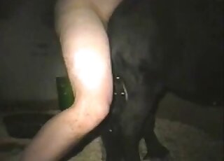 Nighttime fucking session with a horny farmer that fucks a pony