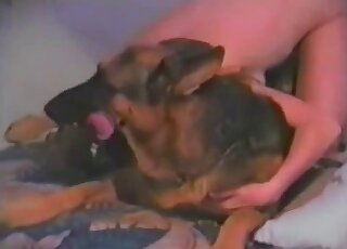 Attractive lady with long hair fucks brown dog at night in the bed