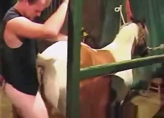 Kinky cowboy wants to fuck this mare's hot pussy while on camera